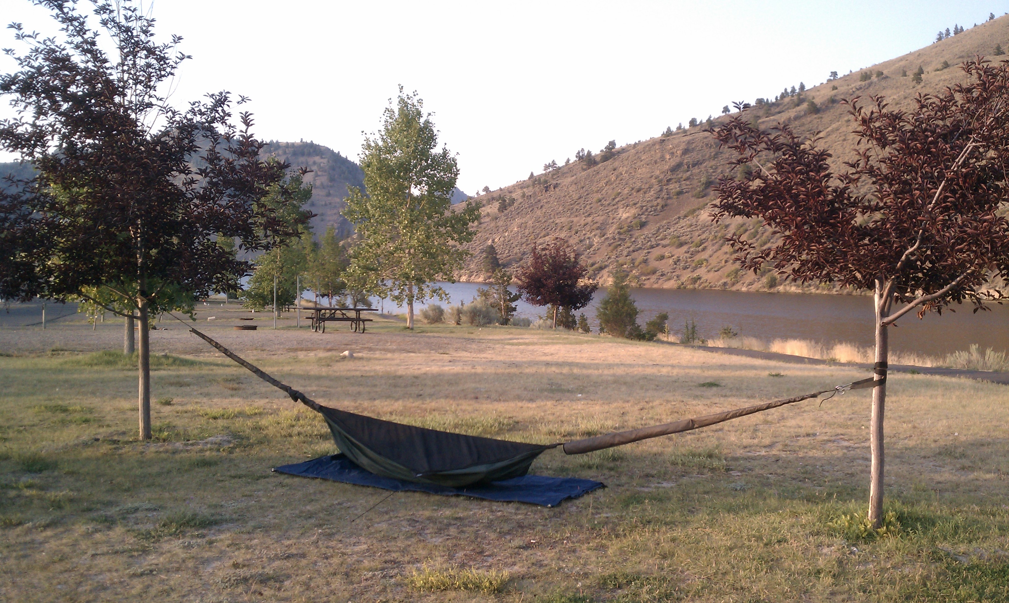 Great Divide Mountain Bike Route - ground hammock